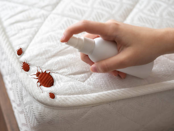 Best Pest Exclusion Services  in St Marys, WV